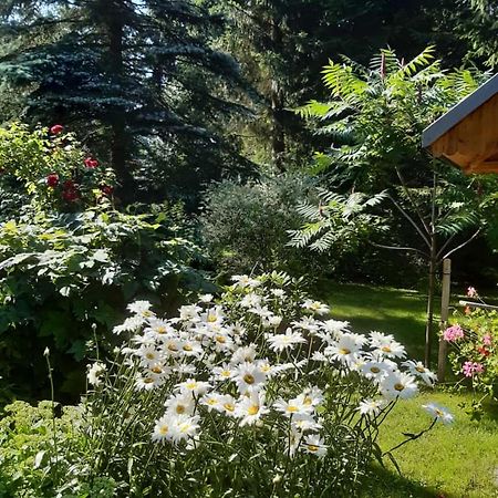 Seidelsferienparadiesgahlenz 외부 사진